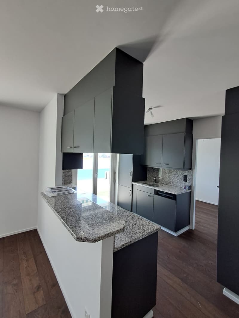 Modern kitchen with grey cabinets, granite countertop, stainless steel appliances, and wooden flooring.