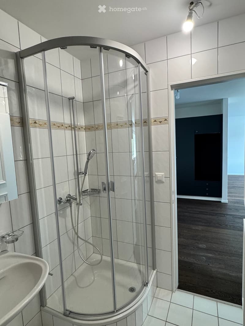 Modern bathroom with a glass-enclosed shower, a sink, and a mirror. The shower features a handheld sprayer and a built-in seat. The walls are tiled with white tiles and decorative borders.