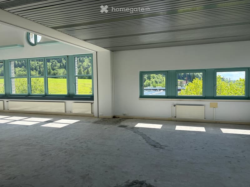 Empty room with concrete floor, white walls, large windows with green frames, and radiators along the walls.