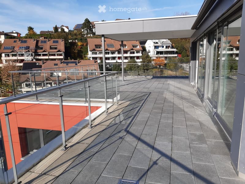 Modern balcony with grey tiled floor, metal railing, and glass panels, overlooking a residential area with houses and trees.