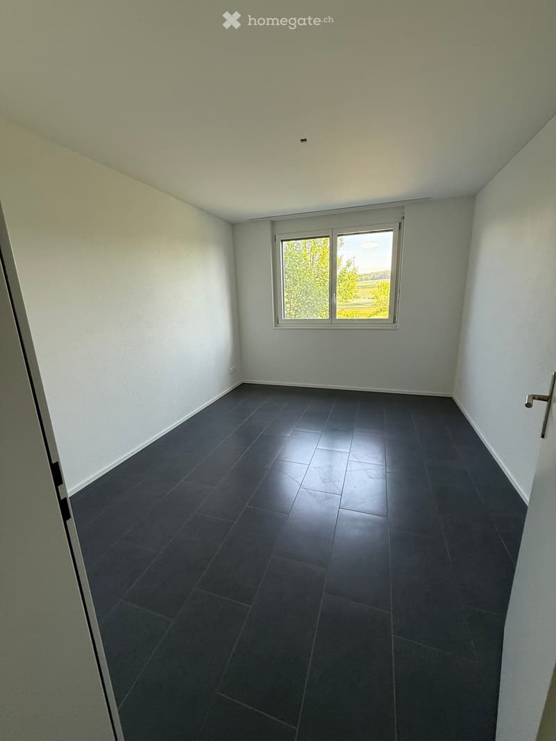 Empty room with dark grey tiled floor, white walls, and a large window with white frame showing greenery outside.