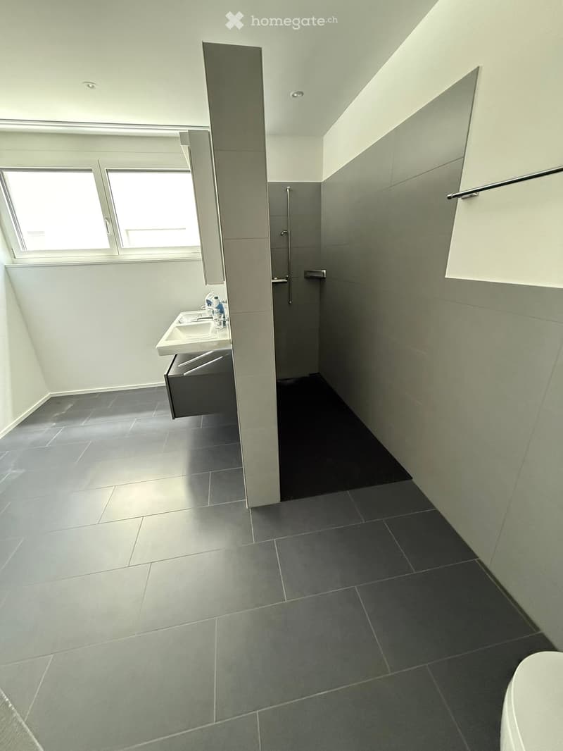 Modern bathroom with grey tiles, white sink, mirror, and shower stall. Features a skylight window and sleek design.