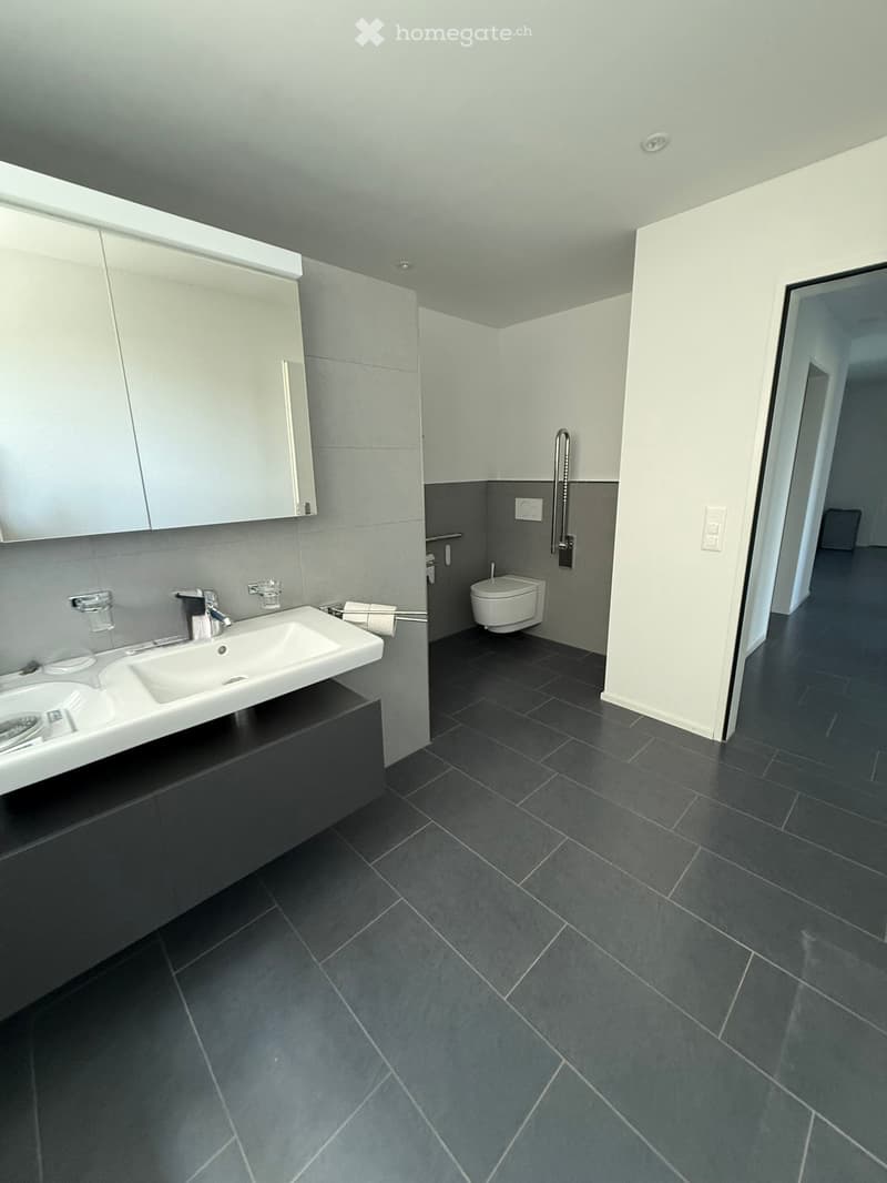 Modern bathroom with dark grey tiles, white sink, toilet, and mirrored cabinet.