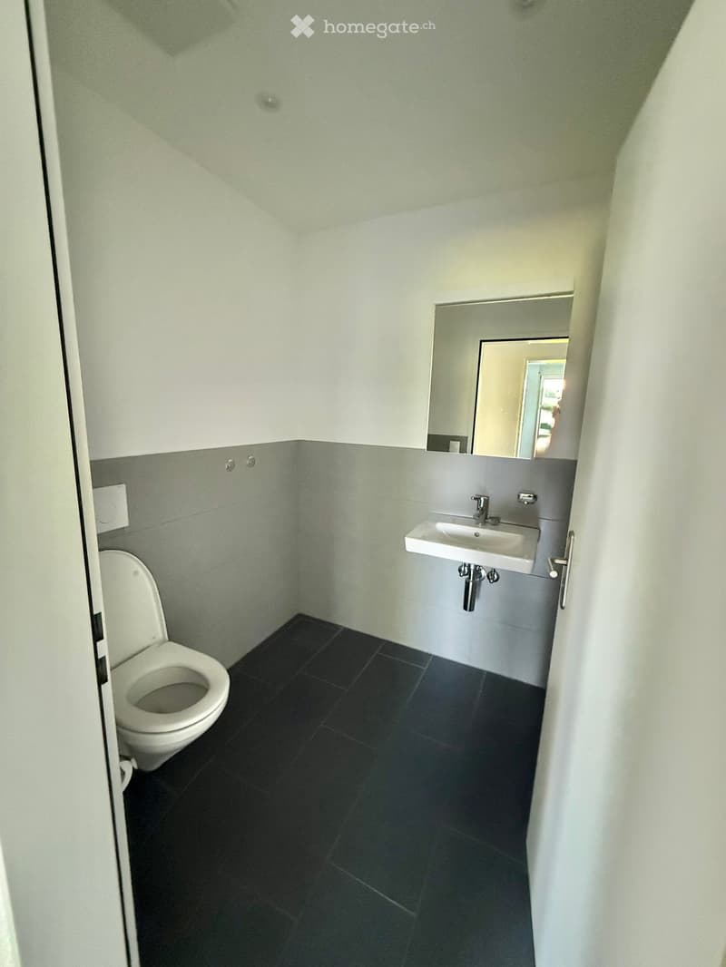 Modern bathroom with dark tiled floor, white toilet, white sink, and a mirror above the sink.