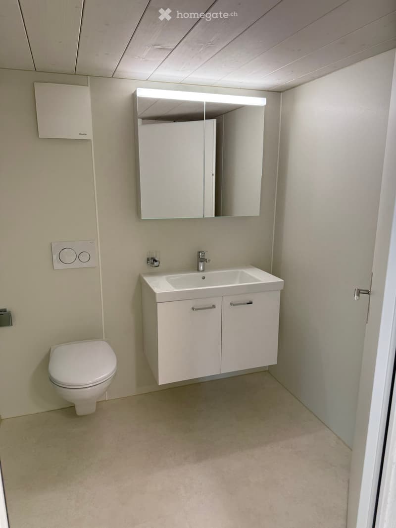 Modern bathroom with a white toilet, a sink with a cabinet, a large mirror with built-in lighting, and a sleek design.