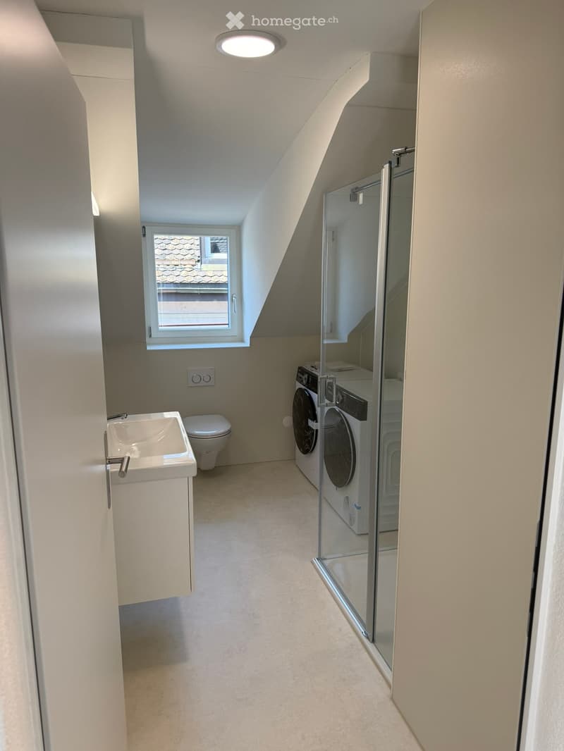 Modern bathroom with a sink, toilet, washing machine, and a glass-enclosed shower. Features a skylight window and recessed ceiling lighting.