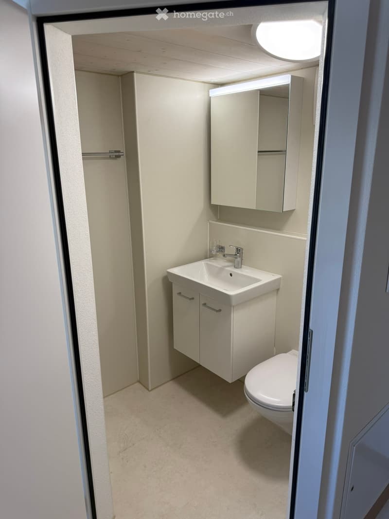 Compact bathroom with a white sink, mirror, and toilet, featuring modern cabinetry and a sleek design.