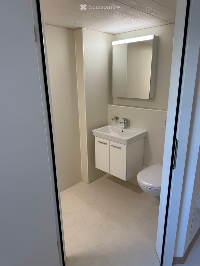 Modern, compact bathroom with a white sink, faucet, mirrored cabinet, and toilet. Light-colored tiles and wood-paneled ceiling.