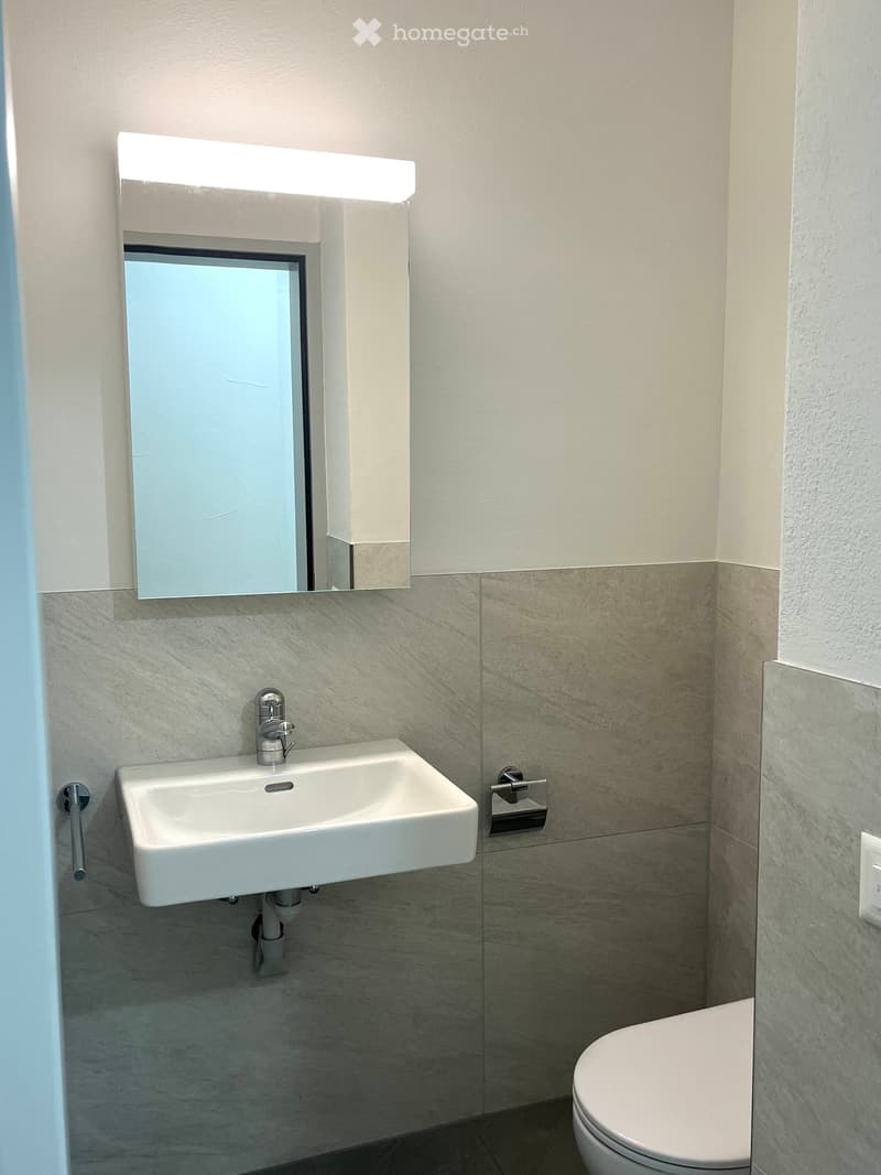 Modern bathroom with a white sink, chrome faucet, large mirror with built-in lighting, and a toilet. The walls are tiled in a light grey marble pattern.