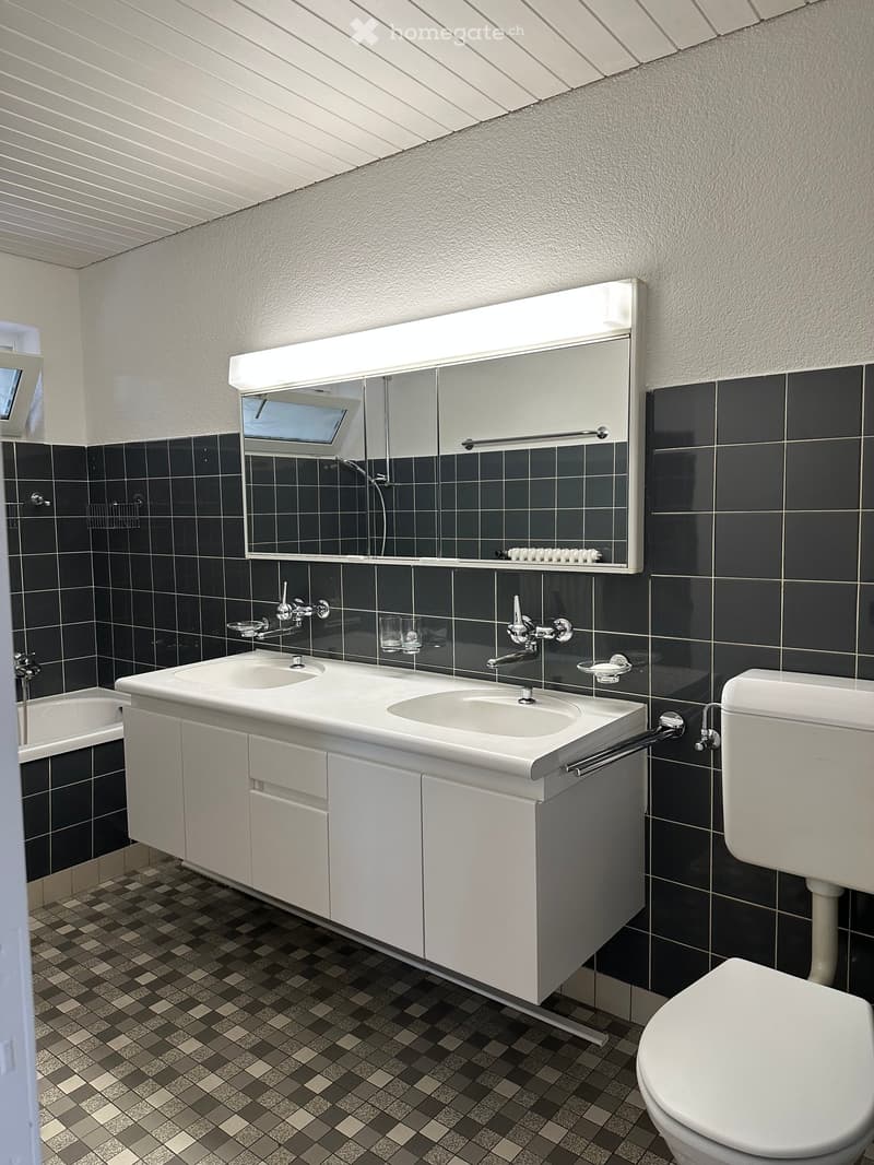 Modern bathroom with dark tiled walls, white sink vanity, mirror with built-in lighting, and a toilet.