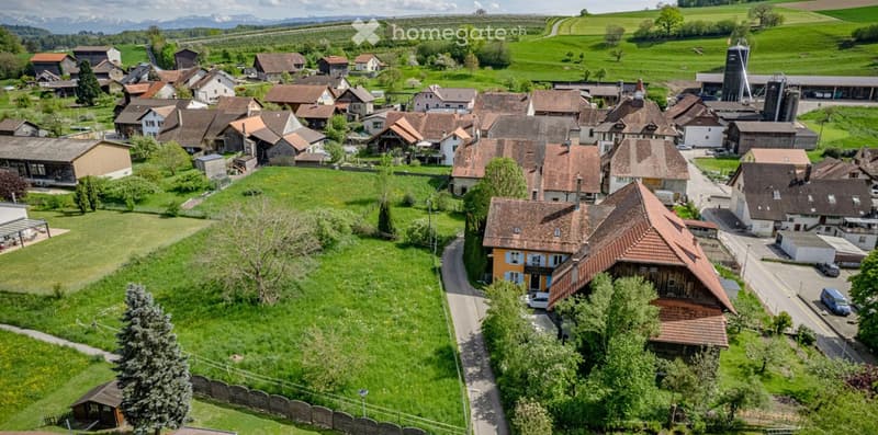 Aerial view of a small village with traditional houses, green fields, and a distant mountain range.