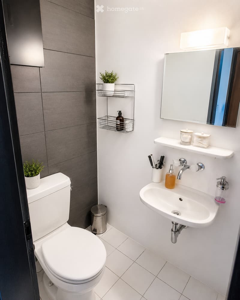 Modern bathroom with white tiles, a toilet, a sink with a mirror, and a small plant on the shelf.