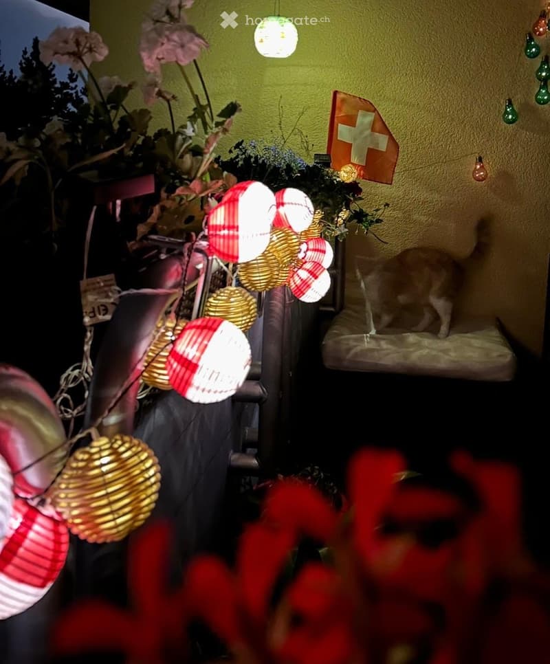 A cozy room with a cat bed, a table with decorative balls, a flower arrangement, and a chair. The walls are painted a warm green color, and there are string lights hanging from the ceiling.