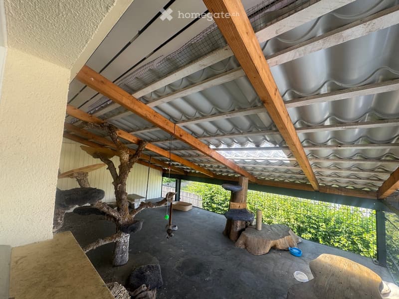 Outdoor cat enclosure with a wooden cat tree, scratching post, cat bed, and a hanging toy. The space features a metal roof and a concrete floor.