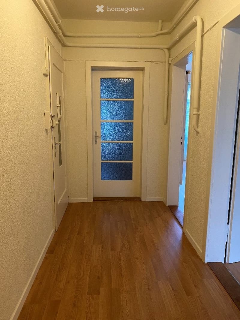 Empty hallway with wooden flooring, white walls, and a central door with a frosted glass panel. The hallway is well-lit and features a clean, minimalist design.