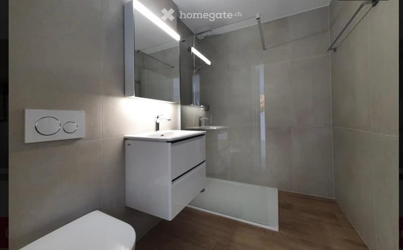 Modern bathroom with a white sink, mirror, and a glass-enclosed shower. The floor is wooden, and the walls are tiled in neutral tones.