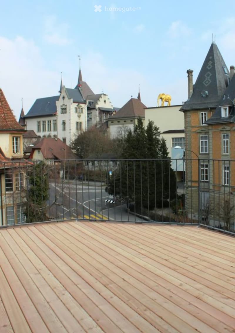 Roof terrace with wooden decking and metal railing, overlooking a street lined with historic buildings and trees.