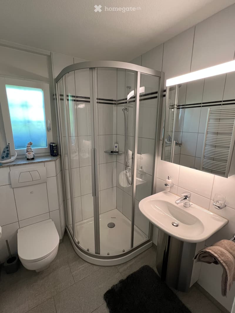 Möbliertes 5.5-Zimmer-Haus in idyllischer Seelage – Buonas, Zug (8)
