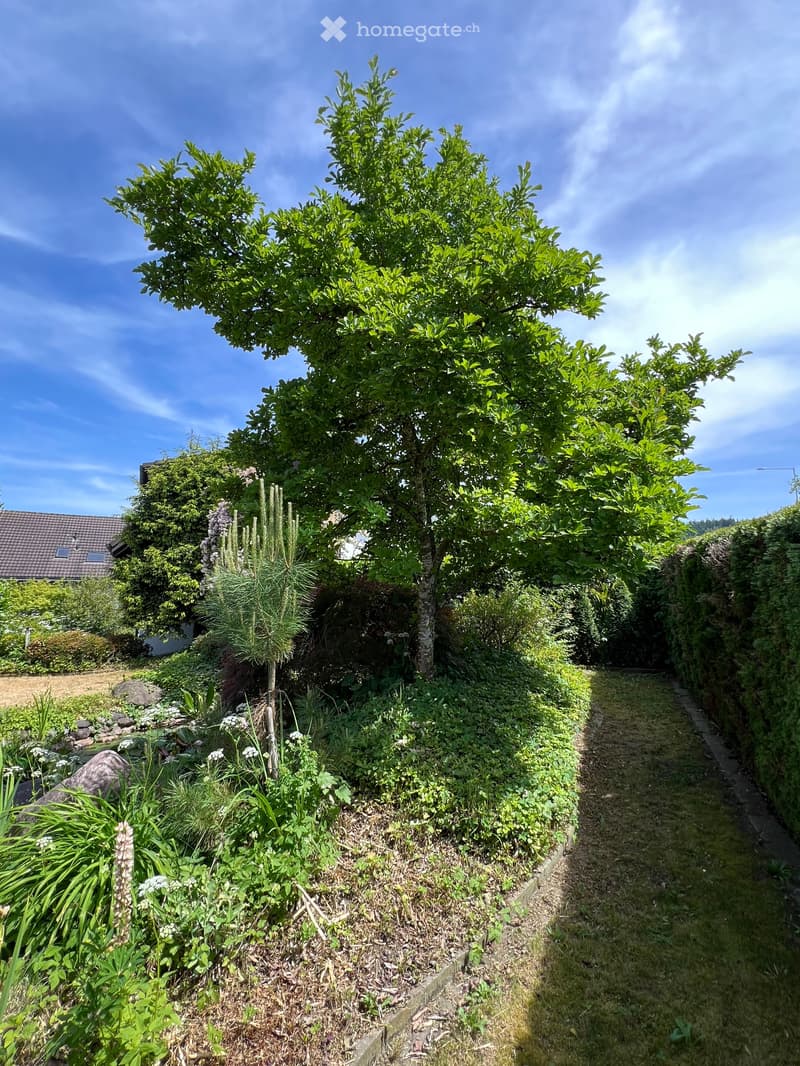 Möbliertes 5.5-Zimmer-Haus in idyllischer Seelage – Buonas, Zug (14)