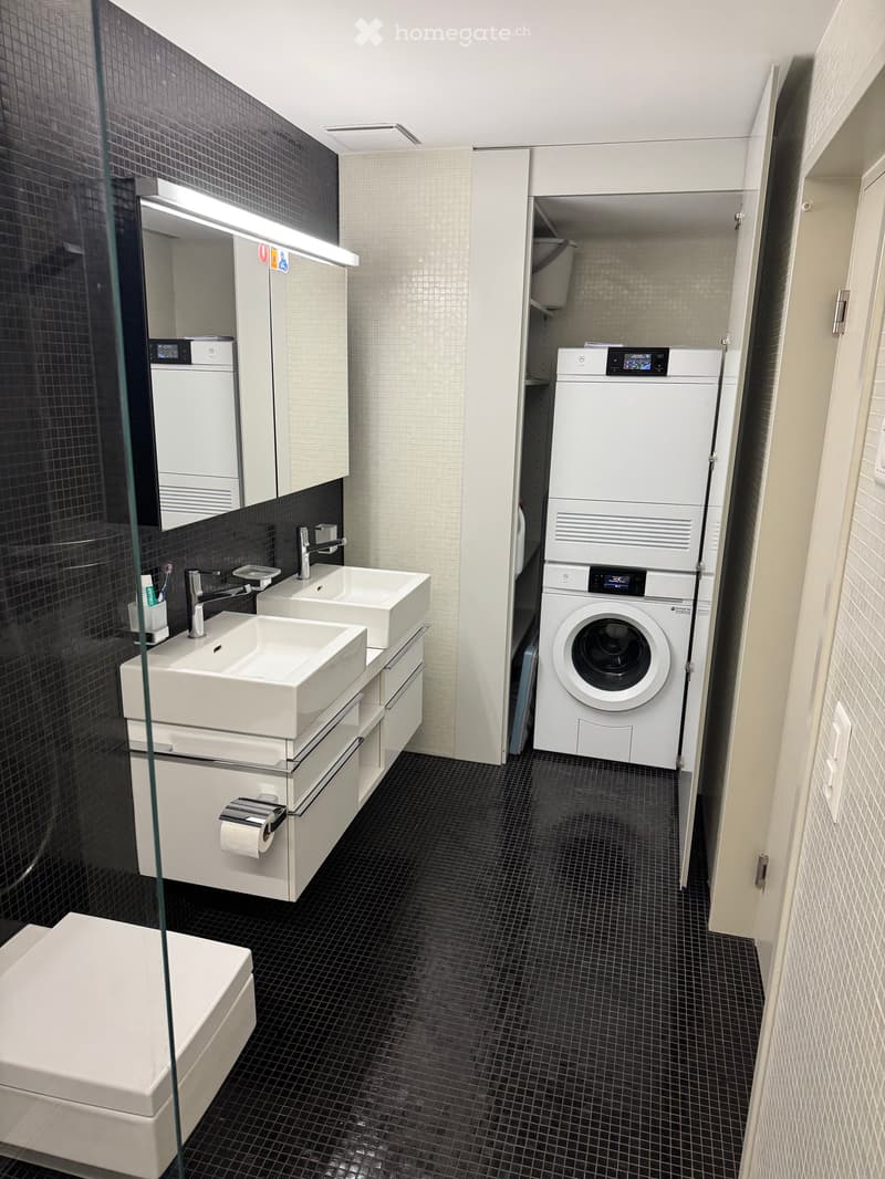 Modern bathroom with black tiled floor, white sink with dual faucets, toilet, and a washing machine in the corner.