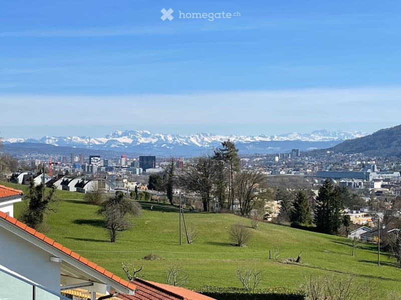 Panoramic view of a cityscape with snow-capped mountains in the background, green hills, and scattered trees.