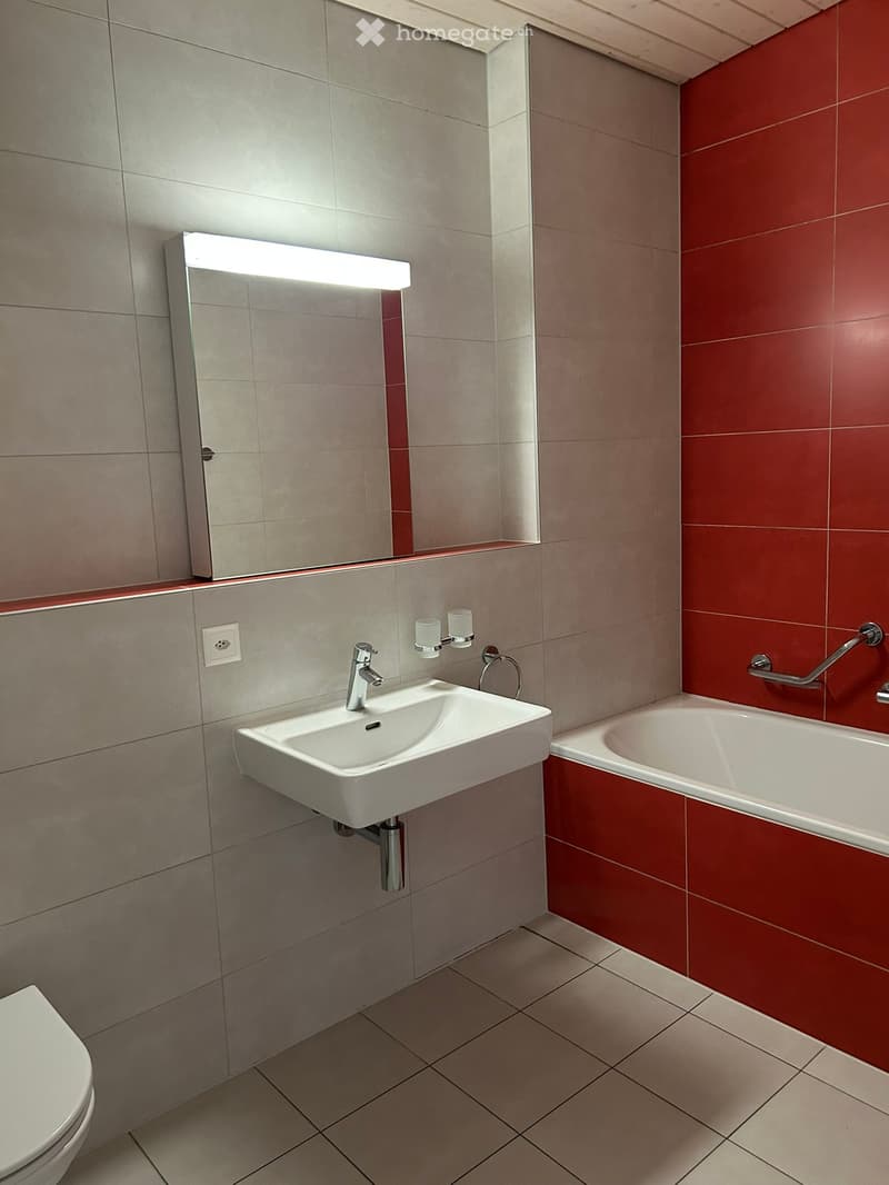 Modern bathroom with a white sink, chrome faucet, large mirror with built-in lighting, bathtub with red tiles, and a toilet. Features a handrail for accessibility.