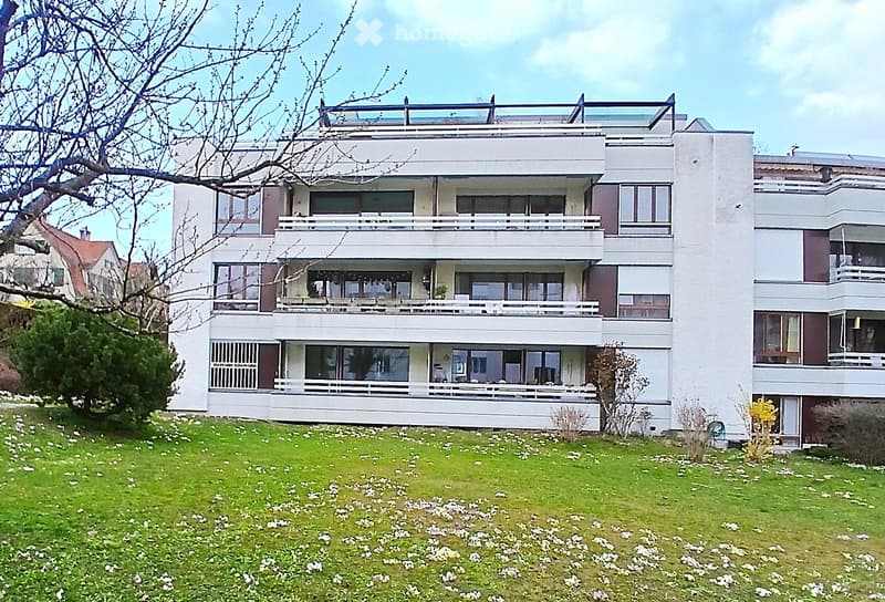 Modern multi-story building with white facade, large windows, and balconies overlooking a grassy lawn with scattered white flowers.