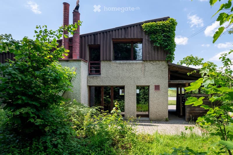 Modern two-story house with a textured concrete facade, large windows, and a metal roof. The house features red chimneys and is surrounded by lush greenery and trees.