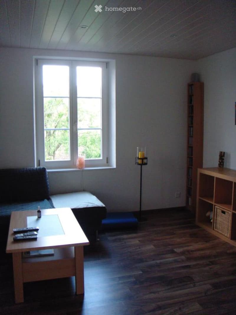 Bright living room with wooden flooring, large window, sofa, coffee table with remote controls, bookshelf, and floor lamp.