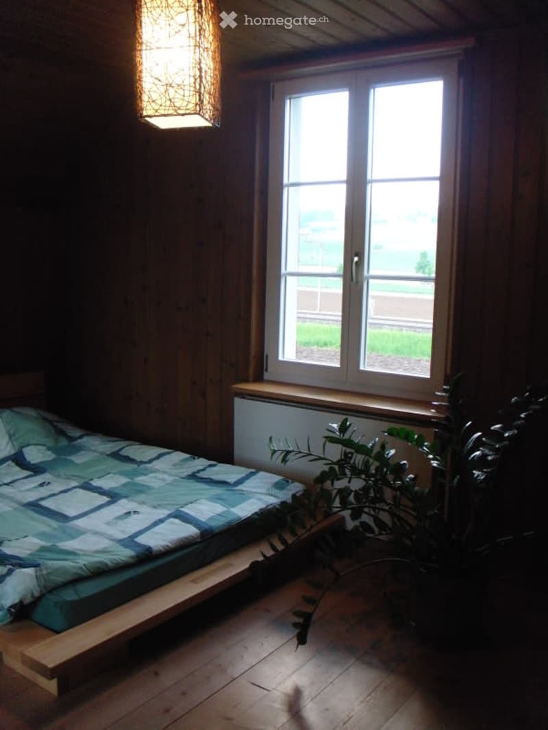 Cozy wooden bedroom with a single bed, a radiator beneath a large window, and a leafy plant near the bed.
