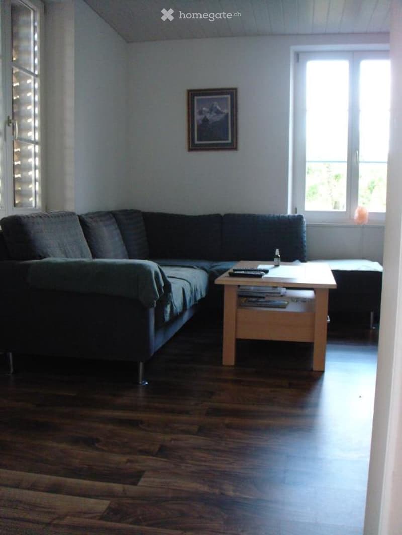 Living room with dark wooden flooring, a sectional sofa, a wooden coffee table, and a picture frame on the wall.