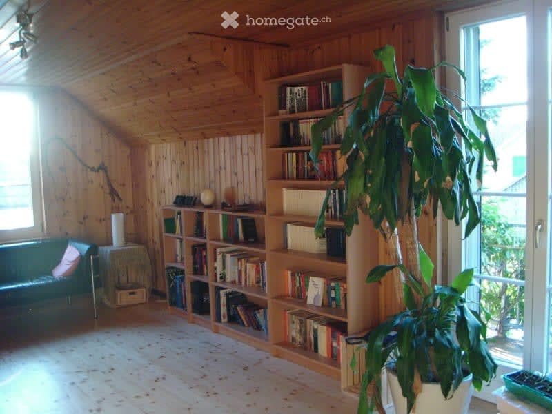 Cozy living room with wooden walls and ceiling, featuring a green sofa, bookshelf filled with books, small table, and large potted plant near the window.