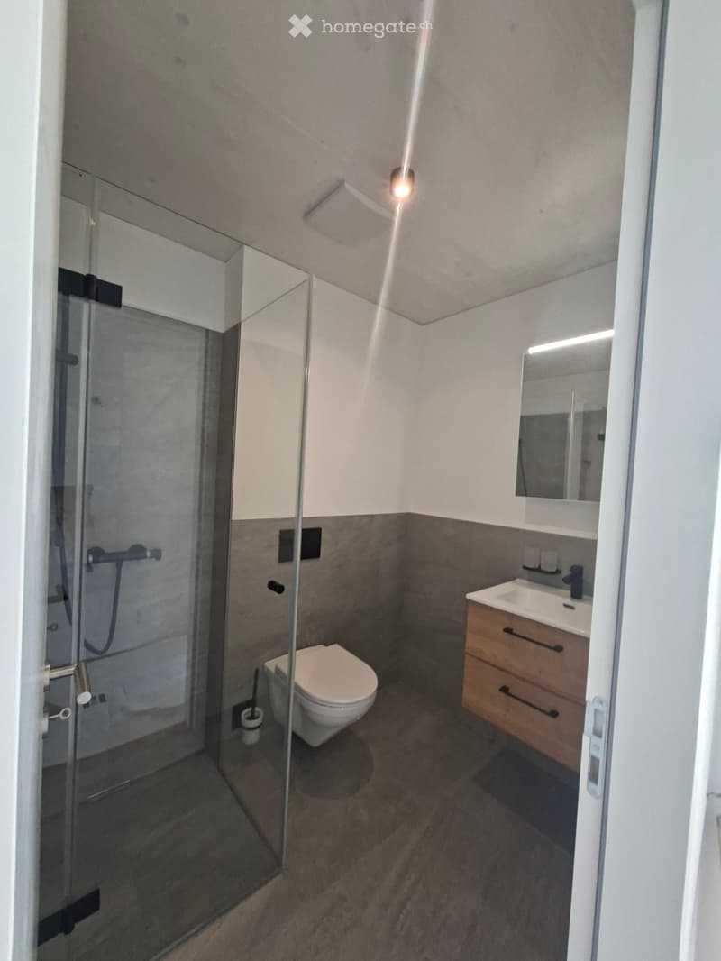 Modern bathroom with a toilet, sink, mirror, and glass-enclosed shower. Features wooden cabinetry and a sleek design.