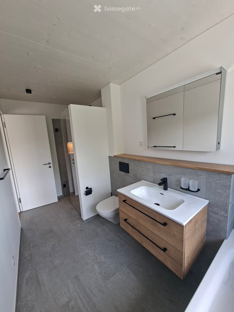 Modern bathroom with a white sink, wooden cabinet, and a toilet. The walls are white with a grey accent wall behind the sink.