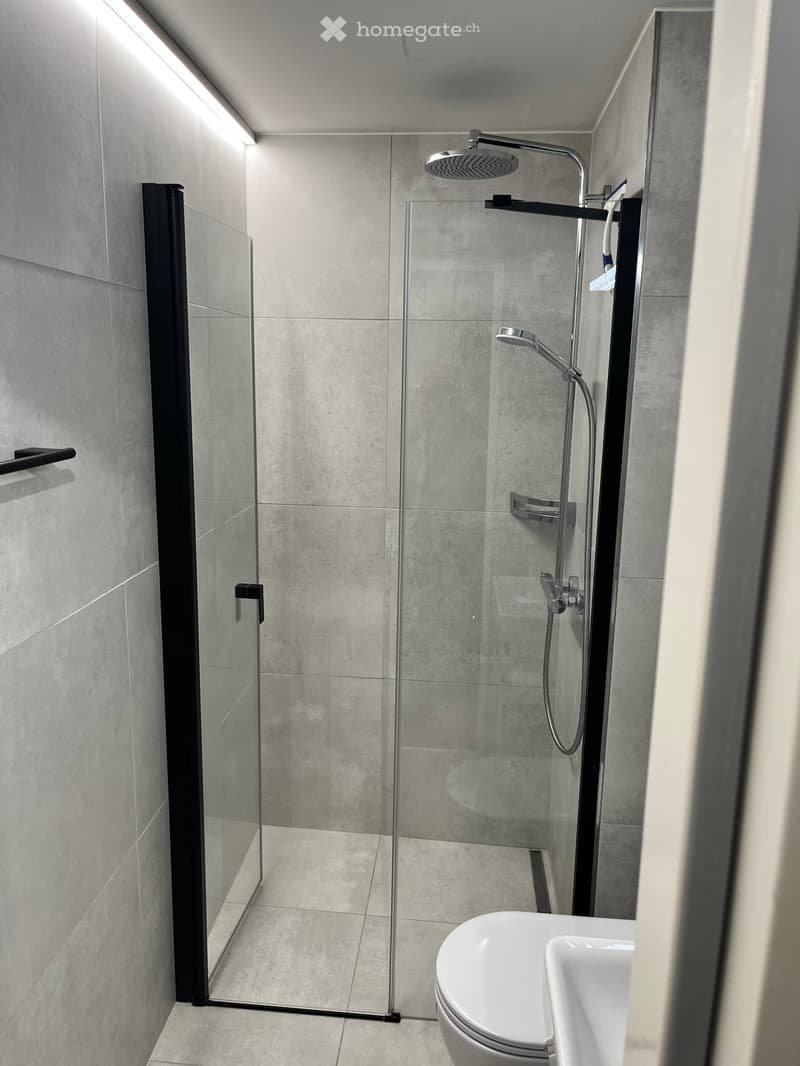Modern shower stall with clear glass door, white toilet, silver shower head, and tiled walls