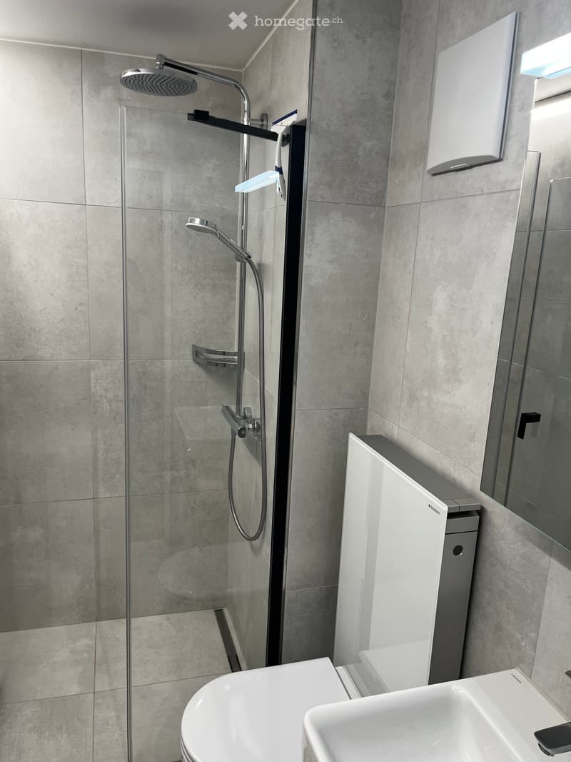 modern bathroom with a glass walk-in shower, white sink, modern toilet, silver shower head, and silver faucet