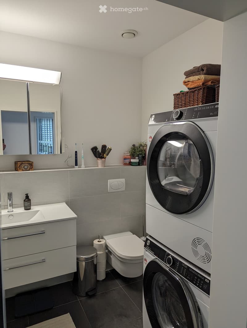 Modern bathroom with a sink, toilet, washing machine, and mirror. Includes towels, a basket, and small decorative items on the counter.