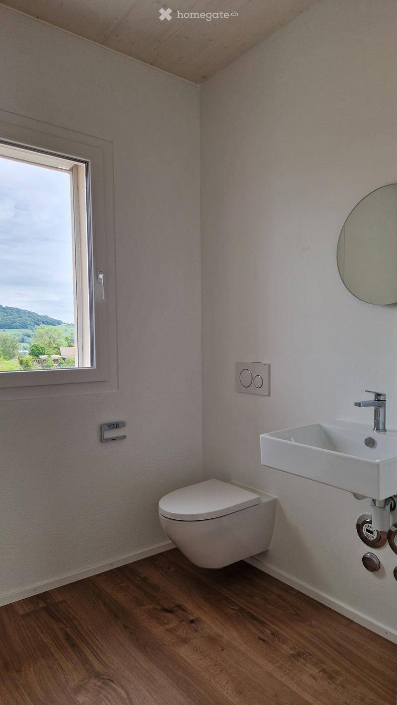 Modern bathroom with a toilet, sink, and mirror. The room features light-colored walls, wooden flooring, and a window offering a scenic view.