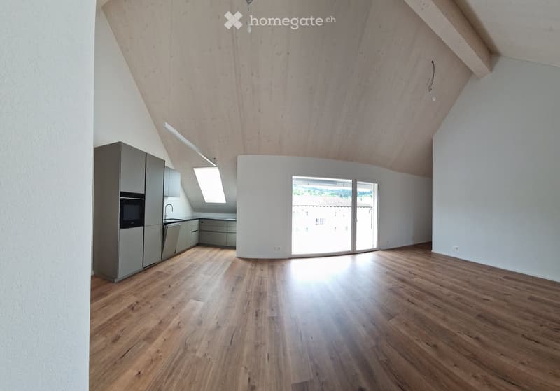 Open-plan attic space with wooden flooring, modern kitchen area, large skylight, and large sliding glass doors leading to a view.
