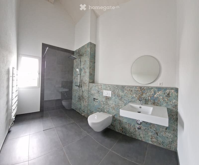 Modern bathroom with a white sink, toilet, round mirror, and glass-enclosed shower area.