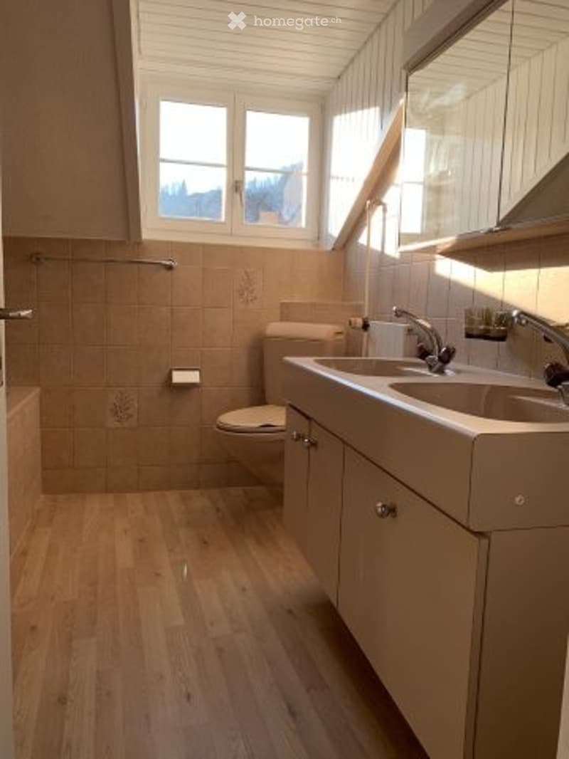 Bathroom with wooden flooring, tiled walls, double sink vanity, toilet, and large mirror above the sink.