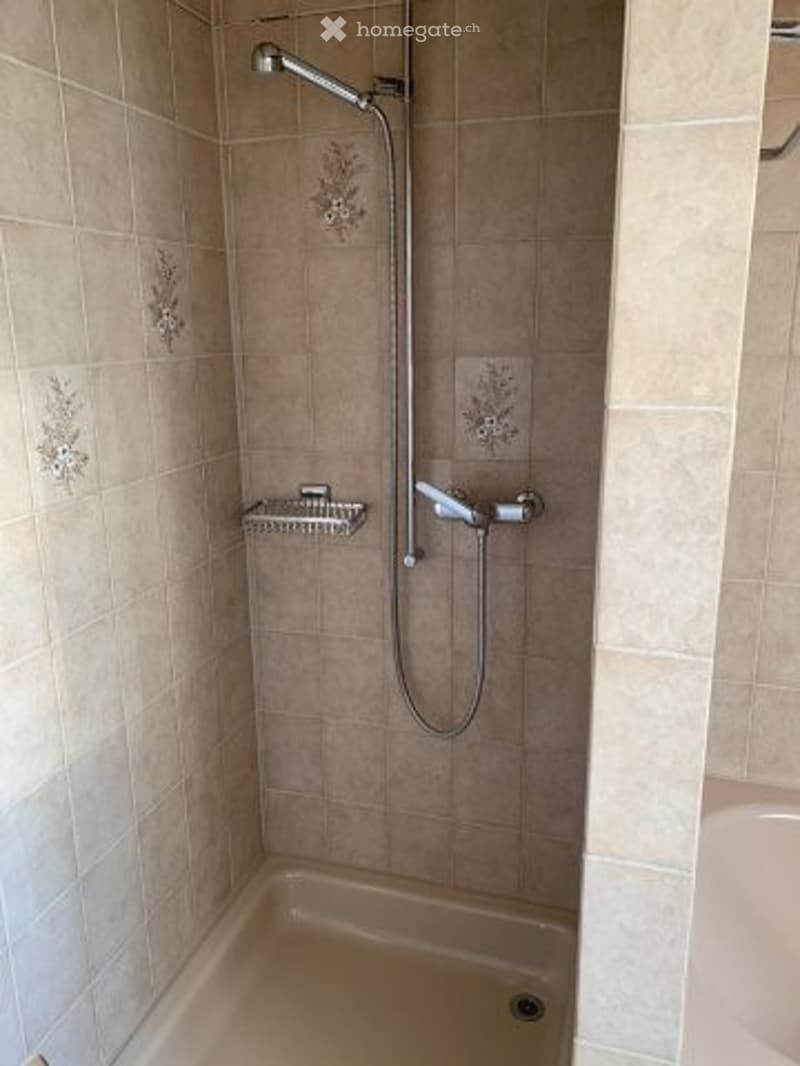 Shower area with beige tiles, a handheld showerhead, a shower hose, and a small shower rack for toiletries.
