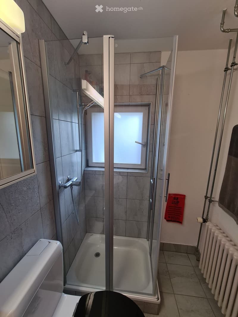 Modern bathroom with a glass-enclosed shower, bathtub, toilet, and radiator. Features tiled walls and a window for natural light.