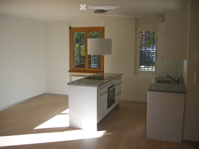 Modern kitchen with white cabinets, a central island with an induction cooktop and oven, and a sink with a faucet. Natural light streams in from two windows.
