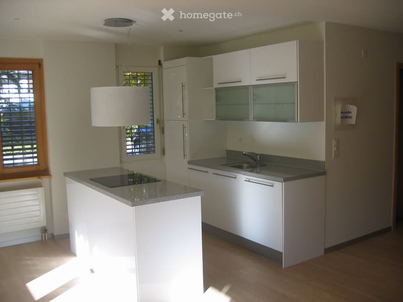 Modern kitchen with white cabinets, a central island with an induction cooktop, a sink, and pendant lighting.