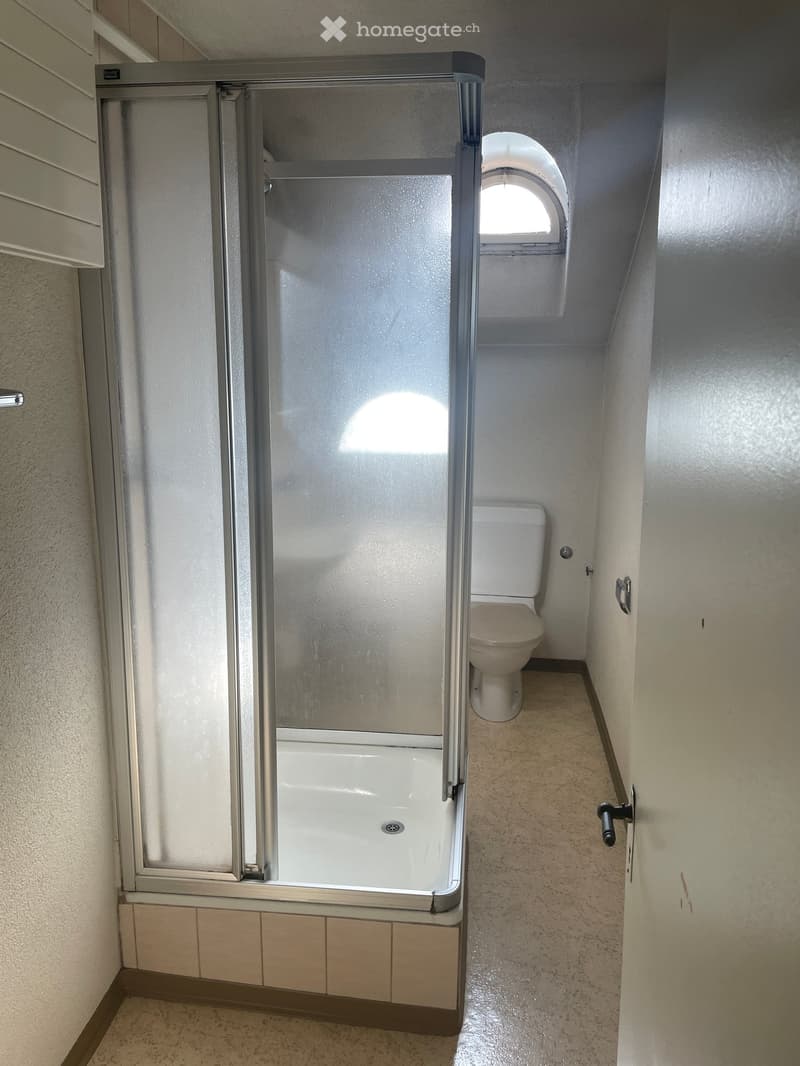 Bathroom with shower, toilet, and an arched window