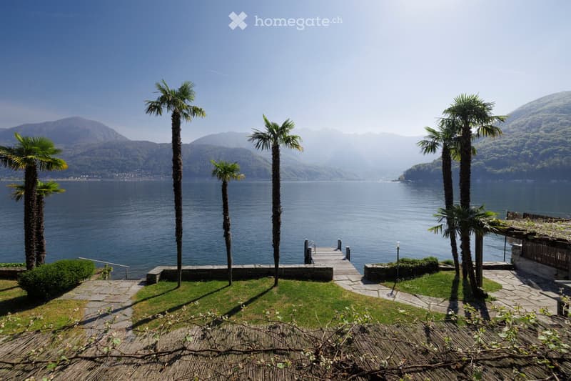 A serene lakeside garden with palm trees, a wooden dock extending into the water, and a view of distant mountains.