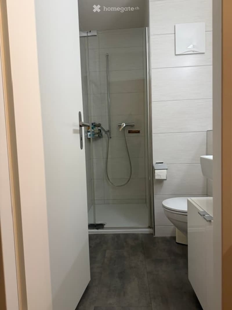 Modern bathroom with a glass-enclosed shower stall, a toilet, and a towel rack. The shower features a handheld hose and a fixed showerhead. The floor is tiled in dark gray, and the walls are white.