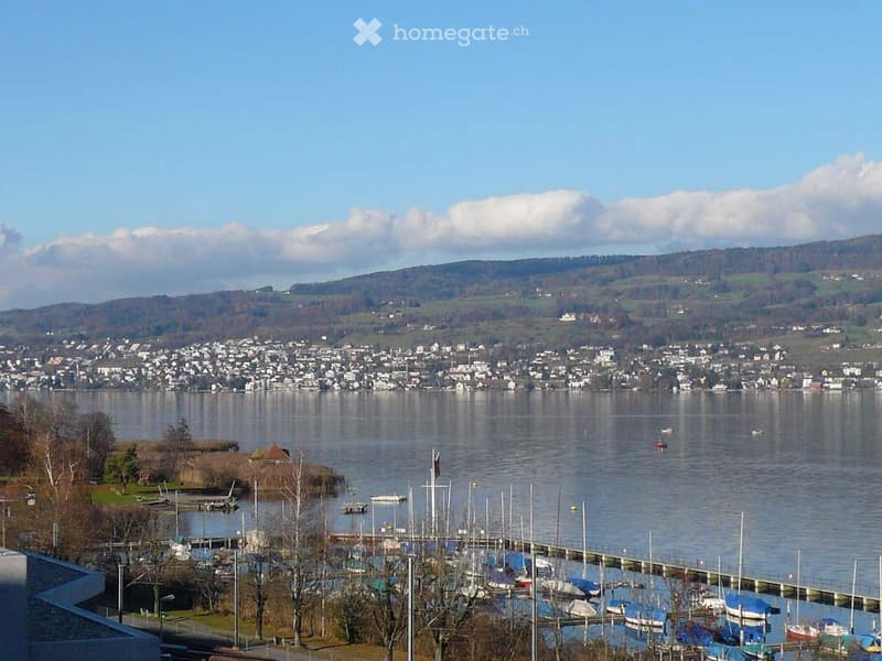 Panoramic view of a lakeside town with a marina, boats, and distant hills under a partly cloudy sky.