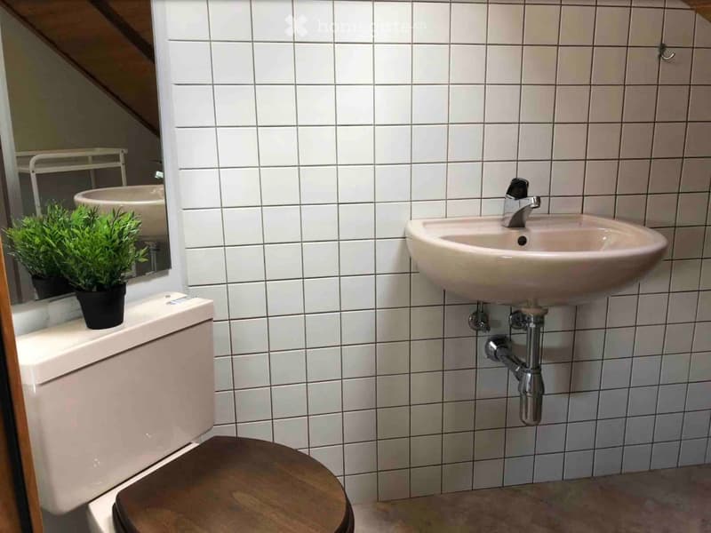 A small bathroom with white tiled walls, a toilet with a wooden seat, a wall-mounted sink with a chrome faucet, a mirror, and a small potted plant on the windowsill.